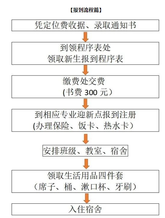 報到流程